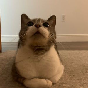 Meet your Posher, Arianna